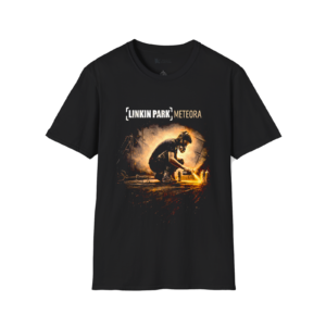 Remera - Linkin Park Meteora